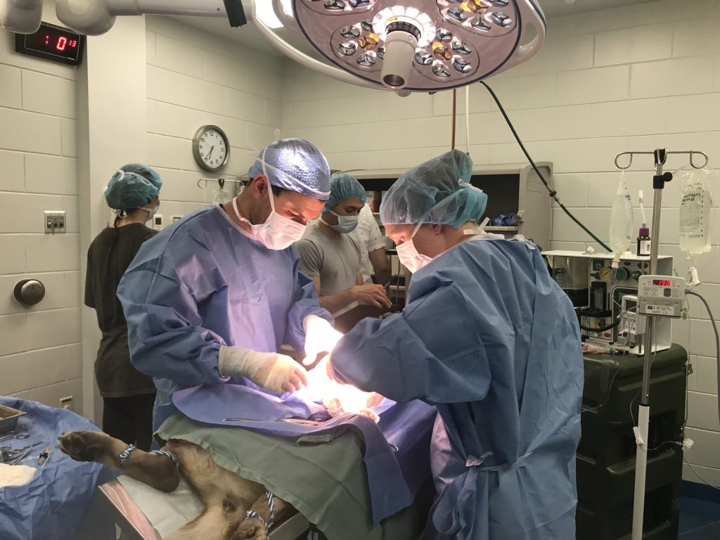 10 steps to turn relief shifts into long-term value for your practice