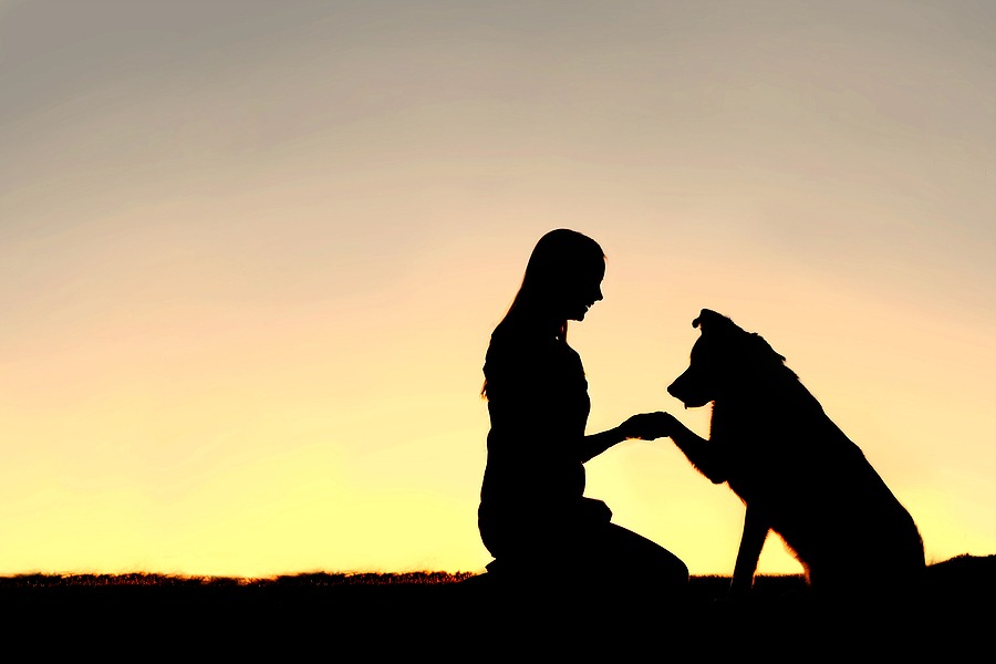 Human-animal bond, benefits of pet ownership highlighted in new survey