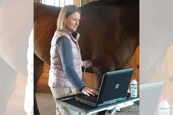 One vet's approach to efficient AI use