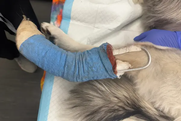Communicating soft tissue surgery risks and complications