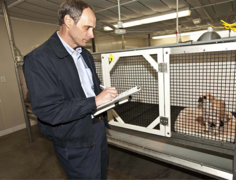 how much does a vet health certificate cost veterinary practice news