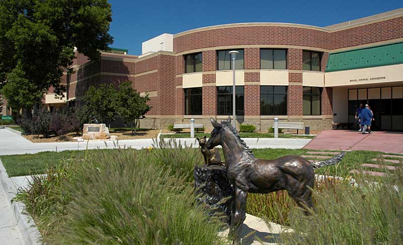 AVMA, COE Erect Higher Firewall - Veterinary Practice News