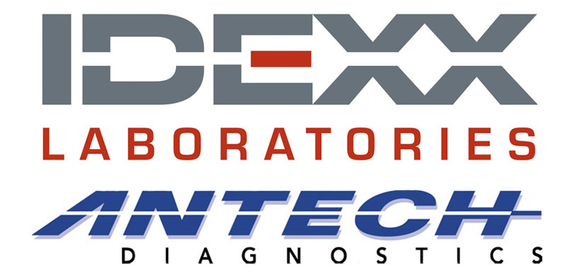 antech diagnostics zoasis antech diagnostics zoasis