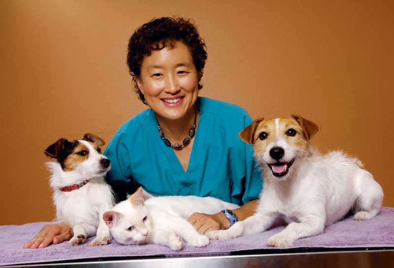 Animal Behaviorist Sophia Yin Dies at 48 Veterinary Practice News