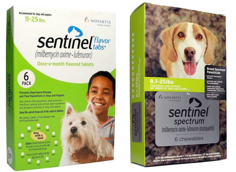 sentinel heartworm florida sentinel heartworm florida
