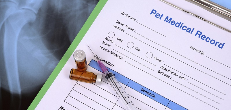 Annual Pet Vaccinations may be Reduced With KSU Test