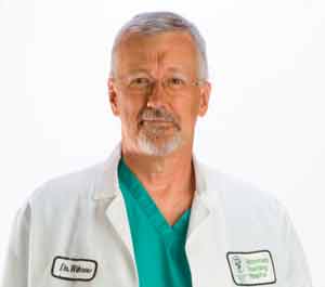 10 More Tips For Dealing With Lumps - Veterinary Practice News