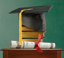 What the best education option for vet