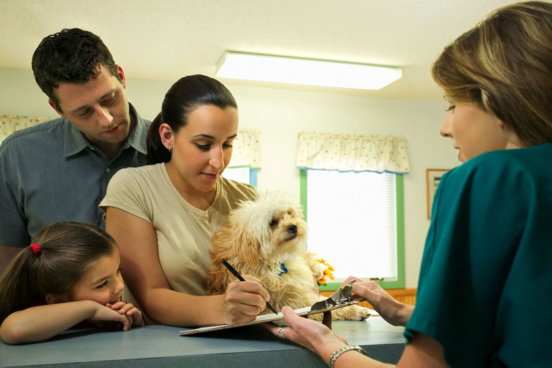 Veterinary receptionist jobs in stafford va