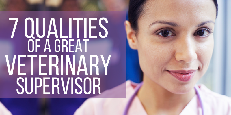 qualities of a good school supervisor qualities of a good school supervisor