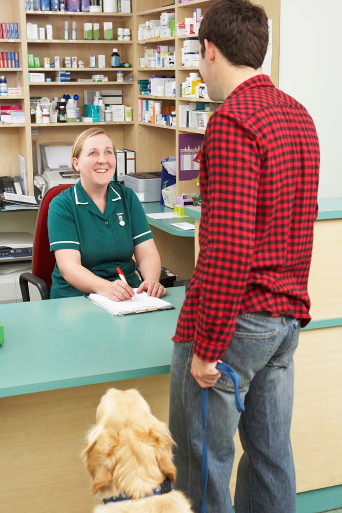 Veterinary Supervisor Wanted: You as a Supervisor? - Veterinary Practice News